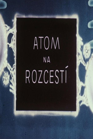 Atom na rozcestí poster
