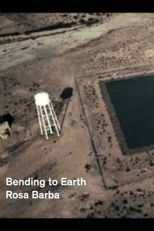 Bending to Earth poster