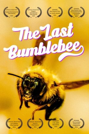 The Last Bumblebee The Last Bumblebee