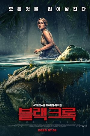 블랙 크록