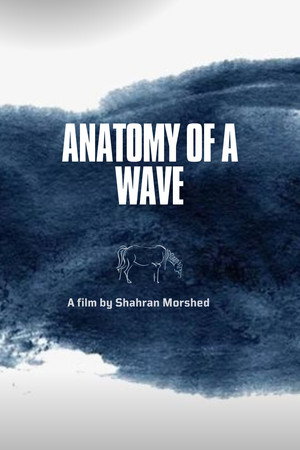 Anatomy of a Wave poster