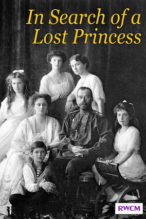 In Search of a Lost Princess poster