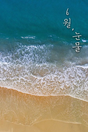 Tears in June poster