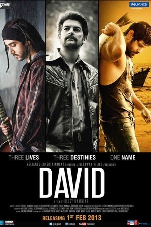 David (2013)