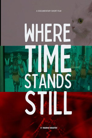 Where Time Stands Still poster
