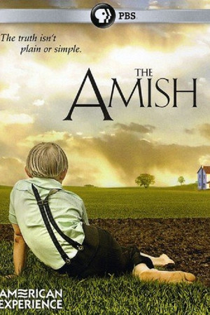The Amish poster