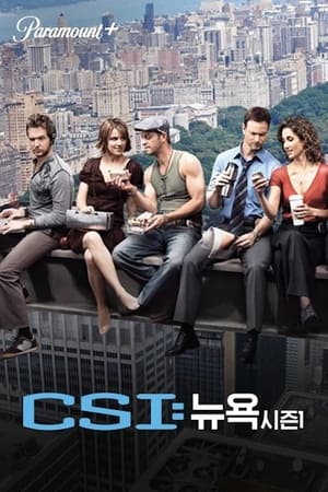 CSI: 뉴욕