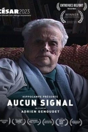 No Signal poster