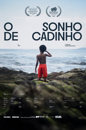 O Sonho de Cadinho poster