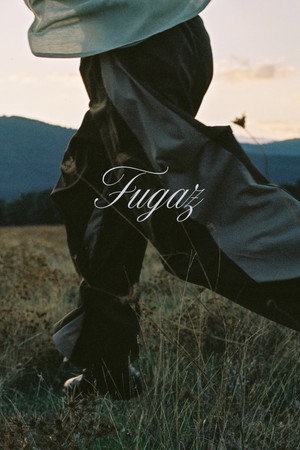 Fugaz poster