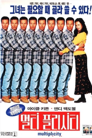 멀티플리시티