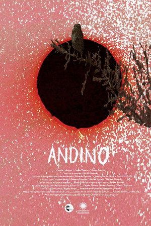 Andino poster