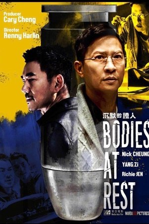 Bodies at Rest