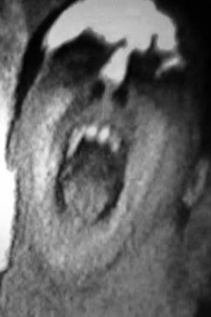 Dont Shout