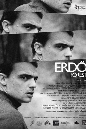 Forest poster