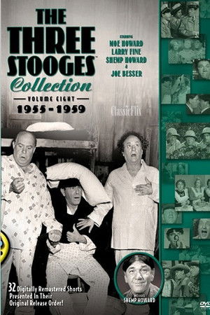 8rqwplddkgmxnx4l5ae081rhrq9