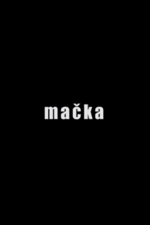 Mačka