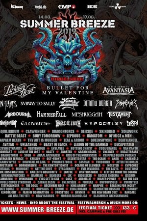 Subway To Sally: Live at Summer Breeze 2019