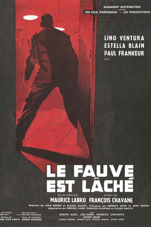 Poster of The Beast Is Loose