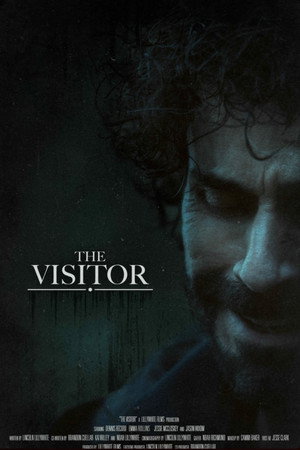 The Visitor poster
