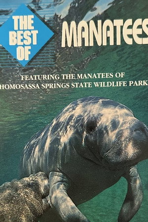 Manatees
