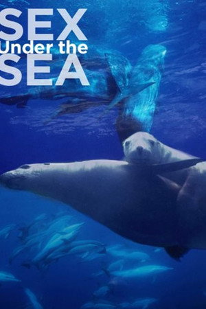 Sexe en Haute Mer poster