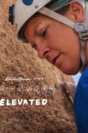 Elevated poster