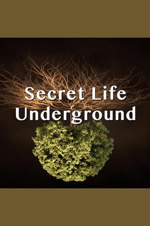 Secret Life Underground