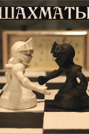 Шахматы
