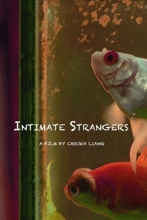 Intimate Strangers poster