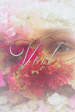 Veil poster