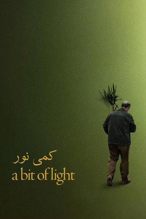 A Bit of Light