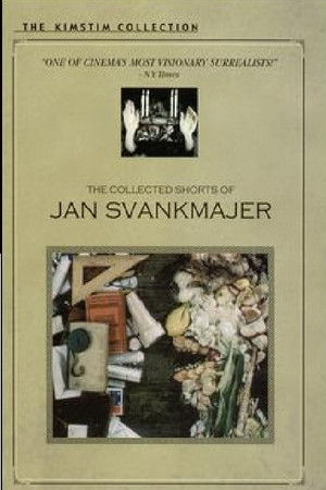 8lwy9vmlfkaxtvpqwlbswv80ghe