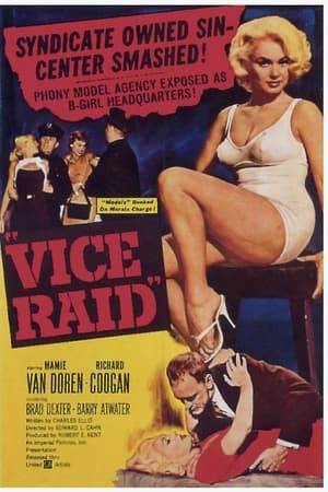 Vice Raid