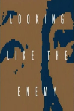 Looking Like the Enemy poster