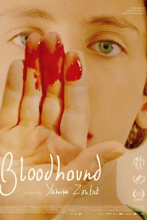 Poster of Bloodhound