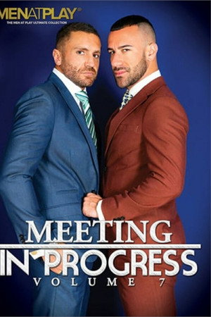 Meeting in Progress 7