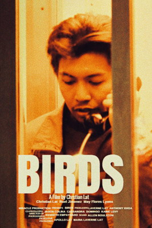 Birds poster