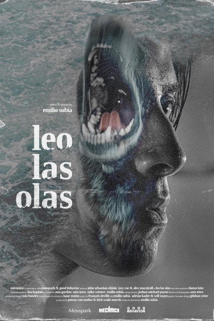 Leo las olas poster