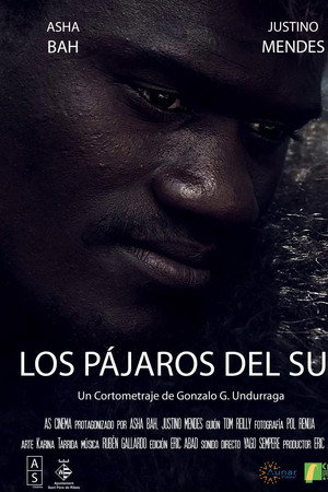 Los Pájaros del Sur