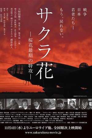 Scattered Blossoms: The Last Flight of the Ohka