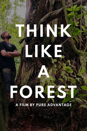 Think Like a Forest poster