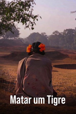 Poster do filme Matar um Tigre
