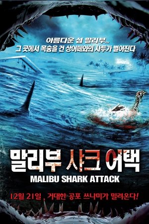 말리부 샤크 어택