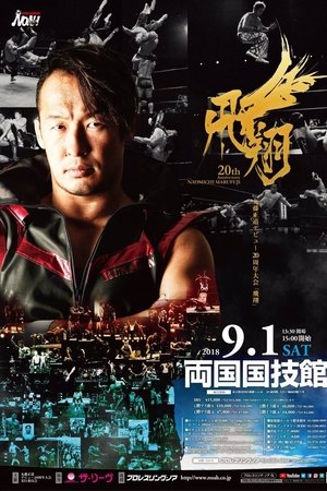 NOAH: Naomichi Marufuji 20th Anniversary Show