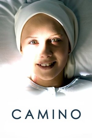 Camino