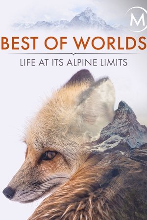 Best of Worlds: Life at its Alpine Limits