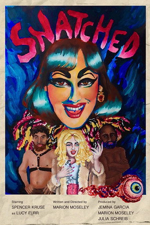 Snatched poster