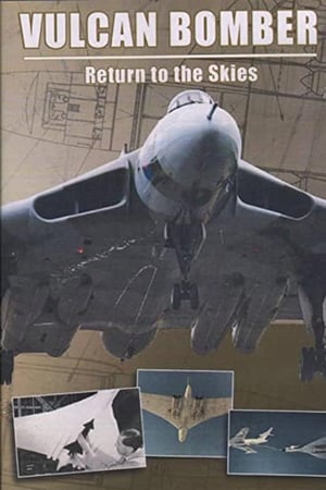 Vulcan Bomber: Return to the Skies