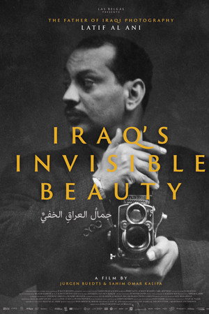 Iraq's Invisible Beauty poster